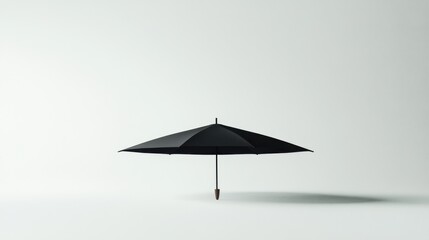 Stylish Designer Umbrella with Sleek Black Canopy