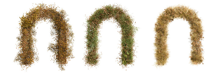 grass arch transparent
