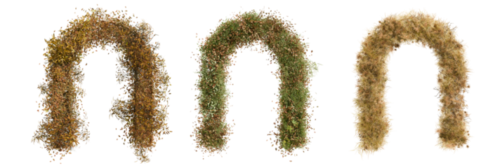 grass arch transparent
