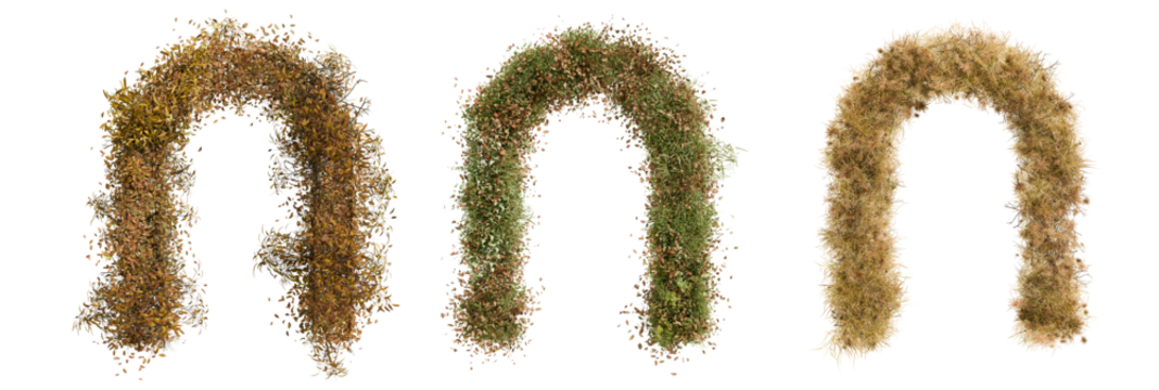 grass arch transparent
