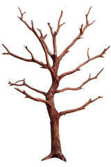 A dry, barren tree with twisted branches and no leaves.