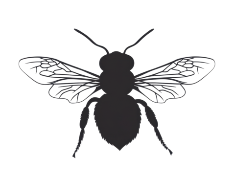 Isolated Bee Silhouette with Detailed Wings