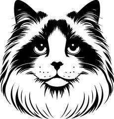 Ragdoll icon 12