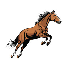 running horse vector illustration
