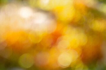 orange blurry background