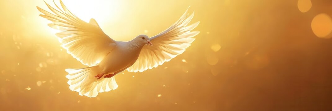 Minimalist icon of a dove soaring against a radiant golden sun at sunset symbolizing peace and hope