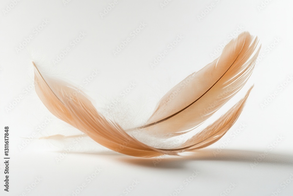 Fototapete soft feathers float gracefully against a white background creating a dreamy and ethereal atmosphere 