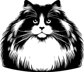 Obraz premium Ragamuffin icon 8