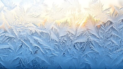 Close-Up of a Bee Gathering Pollen
