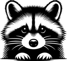 Raccoon icon 6