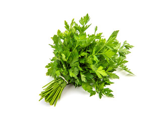 Fresh parsley leaves on white background