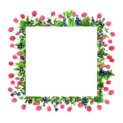 Fresh black currant berries and clover flowers background. Set of frames of watercolor berries and clovers, dragonflies, butterflies, bumblebees and bees. Clip art, design element.