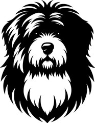 Pyrenean Shepherd icon