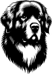 Pyrenean Mastiff icon 11