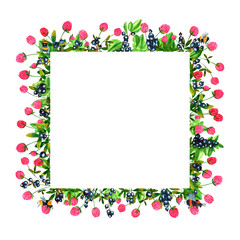 Fresh black currant berries and clover flowers background. Set of frames of watercolor berries and clovers, dragonflies, butterflies, bumblebees and bees. Clip art, design element.