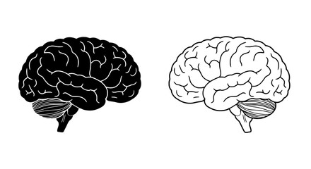 Brain Icon Set: A symmetrical icon set of a human brain in two distinct styles, monochrome and outlined. Suitable for medical, scientific, or educational contexts.