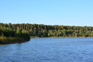 Fototapeta premium blue Lake and Forest and clear sky wallpaper