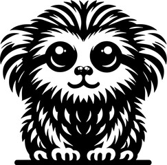 Pygmy Marmoset Finger Monkey icon 5