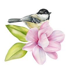 Cute little spring bird sitting on pink magnolia flower painted with watercolorisolated background. For women's design