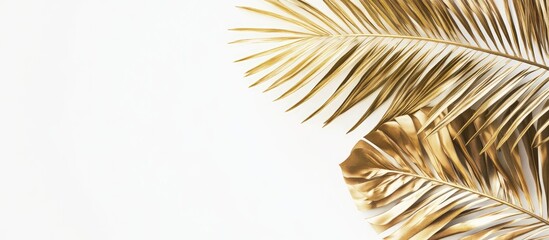 Fototapeta premium Elegant golden palm leaves arranged in a top view on a clean white background, creating ample space for text and design elements.