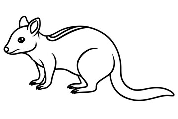 Minimalist Quoll Art