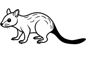 Minimalist Quoll Art