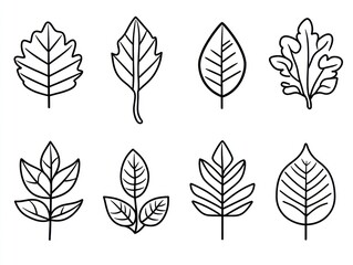 Eight Simple Line Drawings of Leaves; Nature Illustration; White Background; Educational Use
