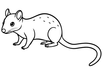 Minimalist Quoll Art
