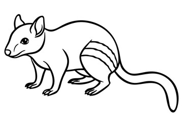 Minimalist Quoll Art