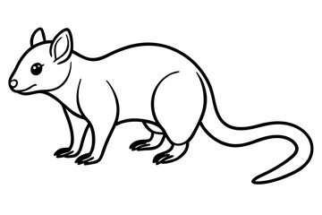 Minimalist Quoll Art