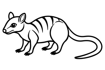 Minimalist Quoll Art