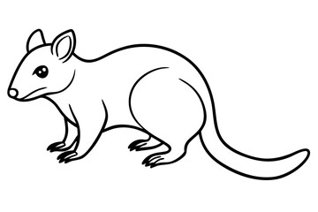 Minimalist Quoll Art