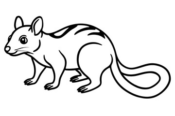 Minimalist Quoll Art
