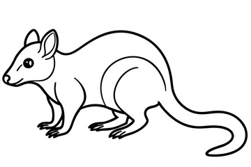 Fototapeta premium Minimalist Quoll Art