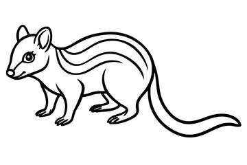 Minimalist Quoll Art
