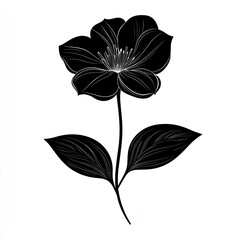 Elegant black flower, minimalist design, white background, graphic art, design element