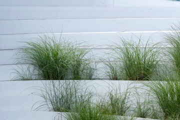 Layered architectural planters with lush green grass, clean urban aesthetic.