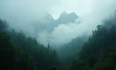 Mystical foggy forest, jagged peaks in the distance, lush green nature, moody cinematic depth.