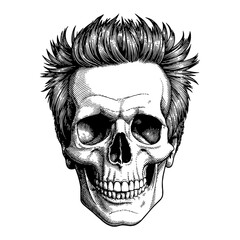 Detailed Skull with Hipster Hairstyle Vector Illustration in Black and White Outline Line Art Drawing