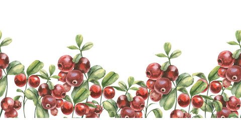 Cranberries  watercolor seamless border. Red forest fresh berries on branches with green leaves and fruits banner for product packing, textile, fabric design. Forest organic food, healthy vegan diet