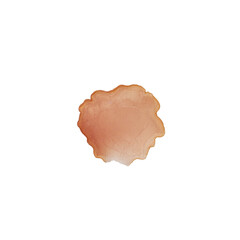 Slice of a dry meat snack isolated on a white background.