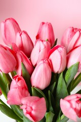 Beautiful fresh tulips on color background