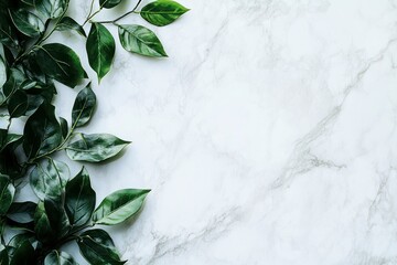 Green Leaves Bordering a Marble Background Providing Copy Space