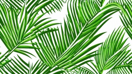 palm leaves background Indonesian ketupat