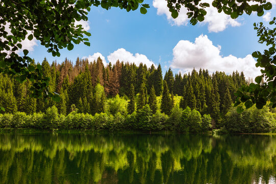 Lake with reflection of the forest in the summer. Karagol Lake in Artvin turkey