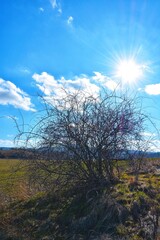 Niebieskie niebo i słońca na szlaku w Starych Bogaczowicach.