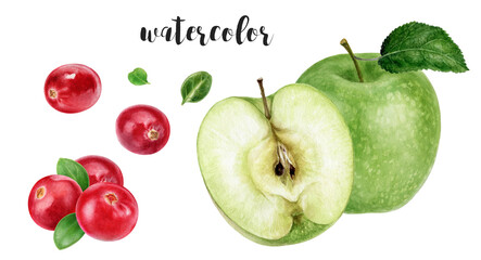 Hand-Painted Watercolor Granny Smith Apple and Cranberry Botanical Illustration Isolated on White