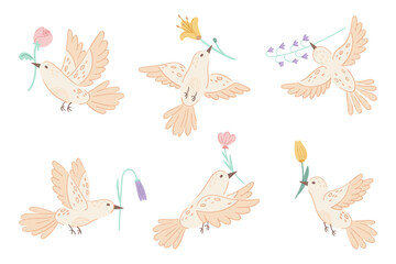 Set of cute birds with flowers in their beaks isolated on white background. Collection flat style graphic elements with birds and wildflowers. Vector illustration
