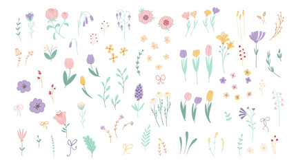 Collection delicate spring wildflowers isolated on white background. Set floral graphic elements: peony, tulip, chamomile for the design of postcards, wedding templates. Vector illustration