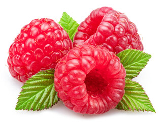 Three raspberries with leaves isolated on white background.